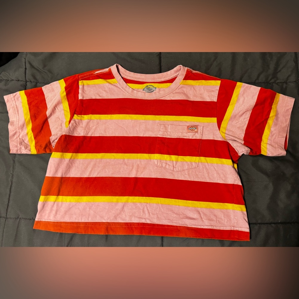 Dickies Striped Crop Tee
